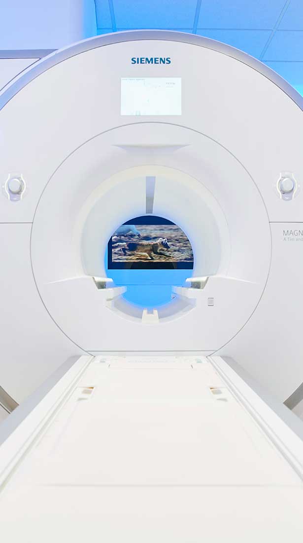 Einblicke in den MAGNETOM Skyra der Max Grundig Klinik