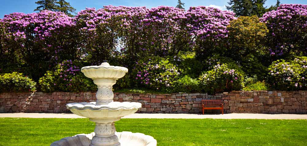 Parkanlage der Max Grundig Klinik mit Brunnen, Rasen und blühenden Büschen