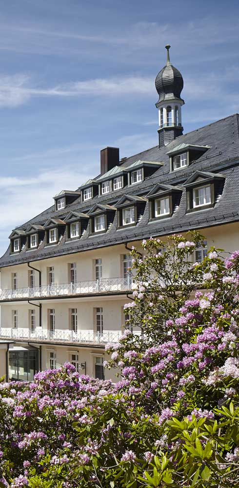 Parkanlage der Max Grundig Klinik mit blühenden Büschen und blauem Himmel