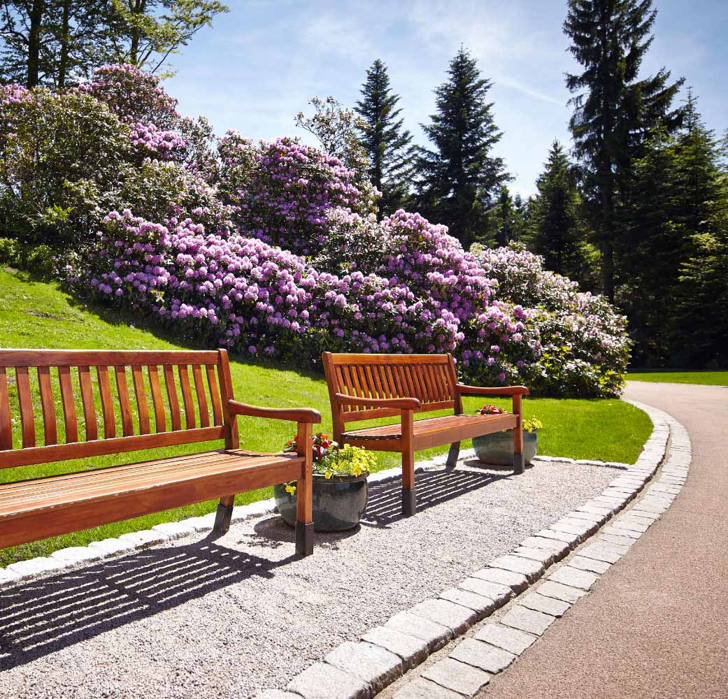 Parkanlage der Max Grundig Klinik mit Weg, Bänken und blühenden Büschen